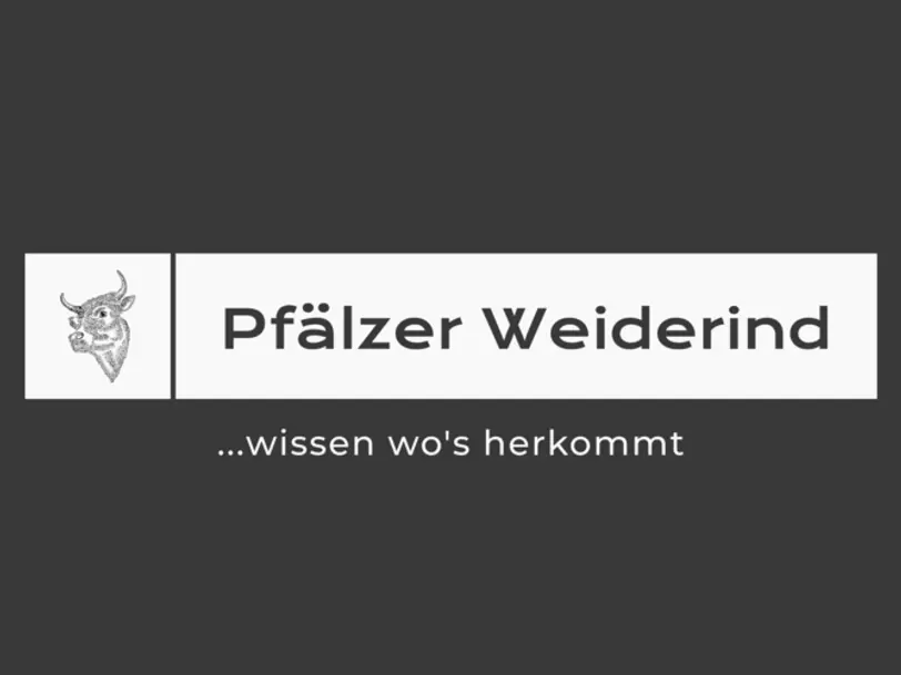 Pfälzer Weiderind in Gundersweiler